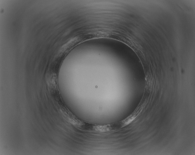 X0000062640141200601111135