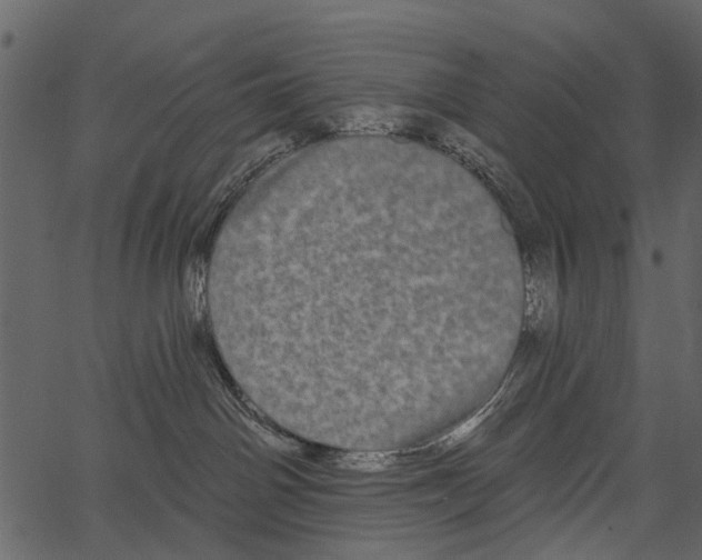 X0000062640142200601111135