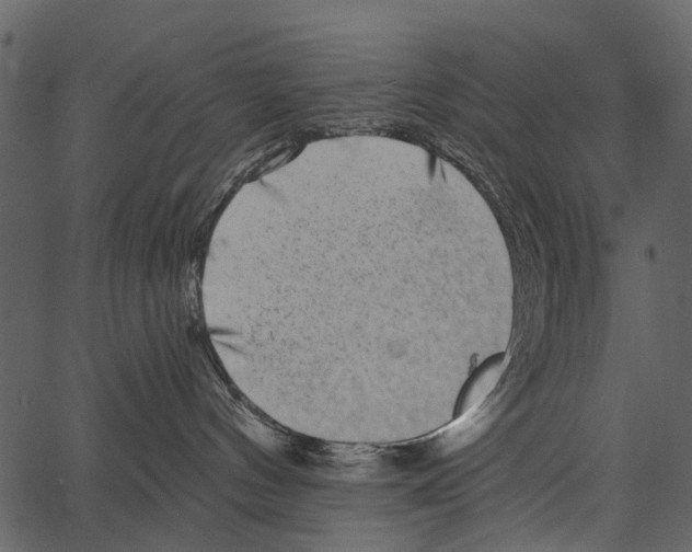 X0000062640144200601111135