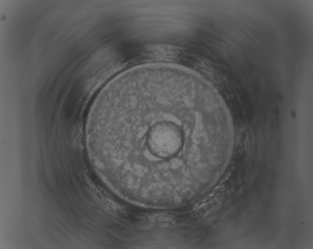 X0000062640146200601111135