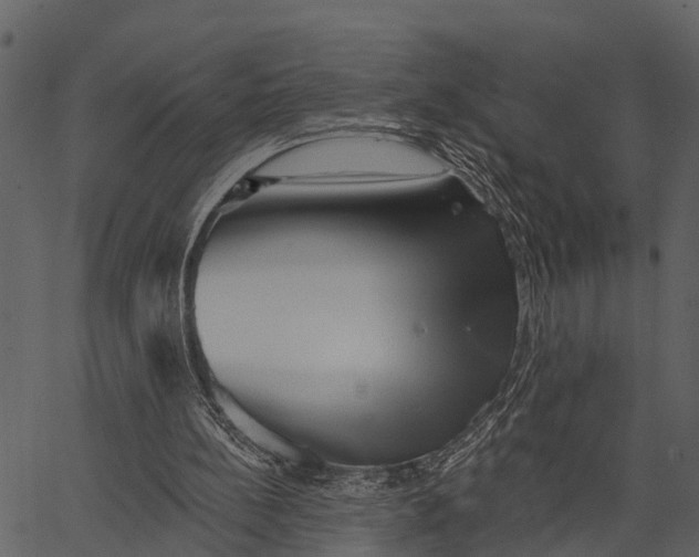 X0000062640148200601111135