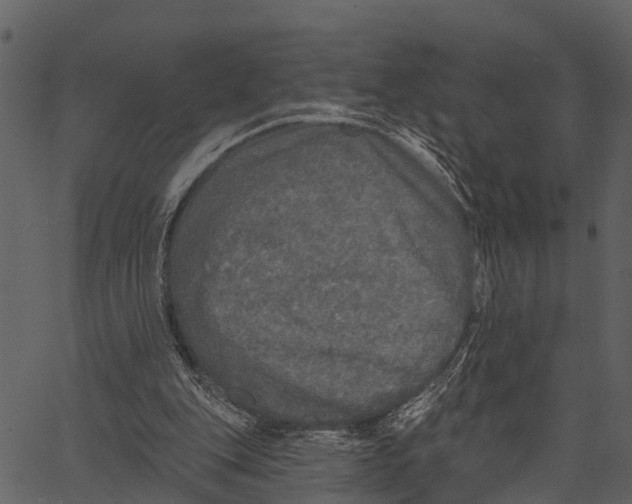 X0000062640151200601111135