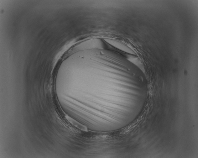 X0000062640152200601111135