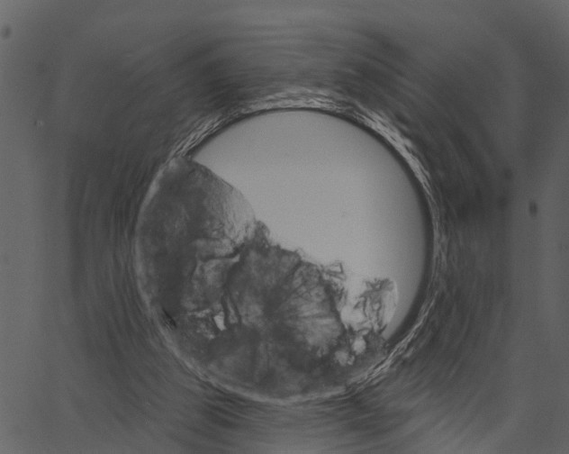 X0000062640153200601111135