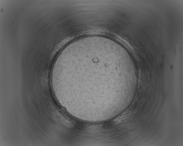 X0000062640155200601111135