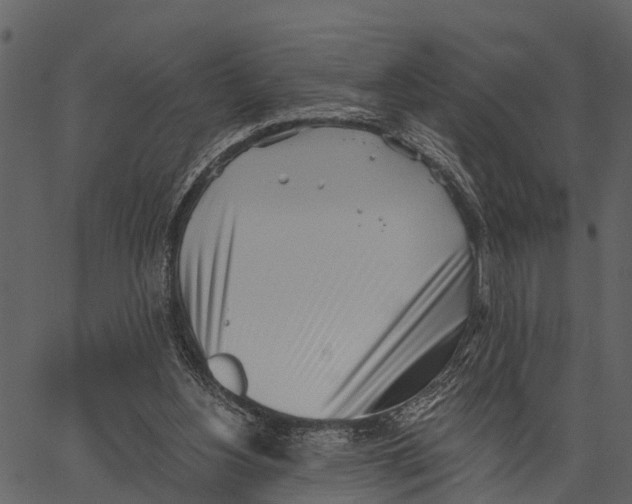 X0000062640156200601111135