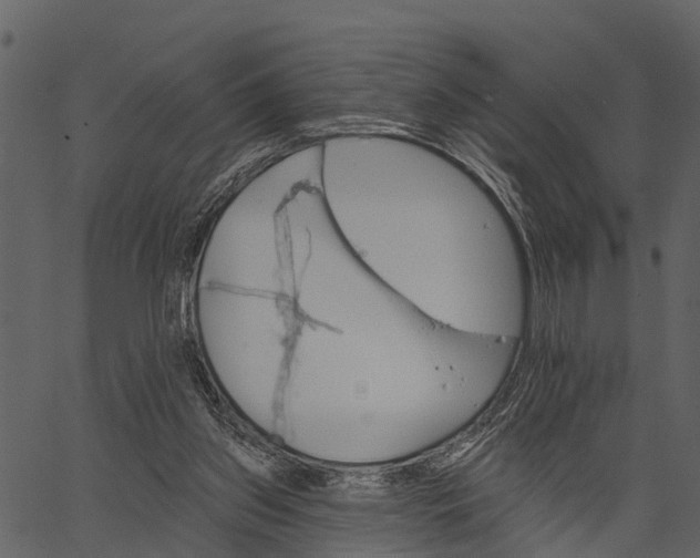 X0000062640157200601111135