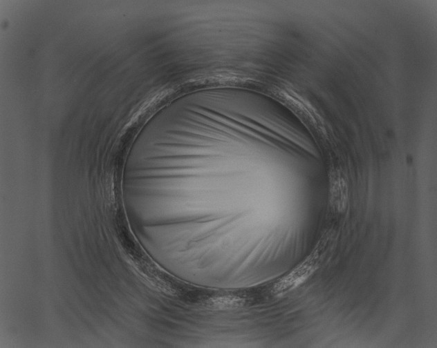 X0000062640158200601111135