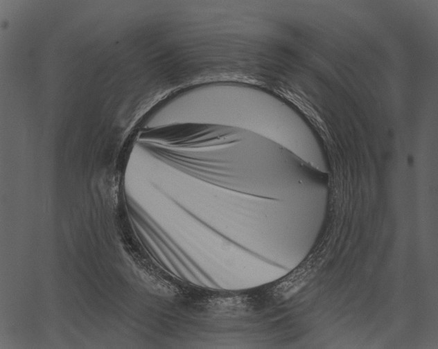 X0000062640160200601111135