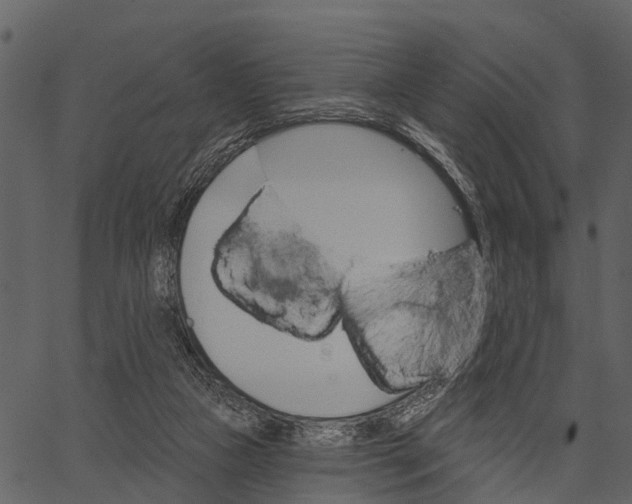 X0000062640161200601111135