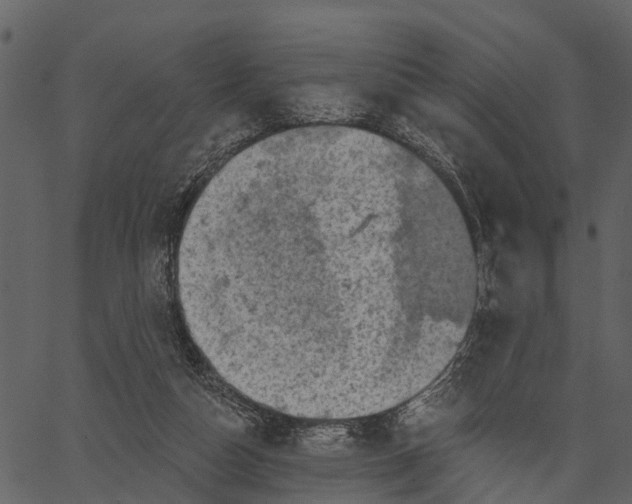 X0000062640162200601111135