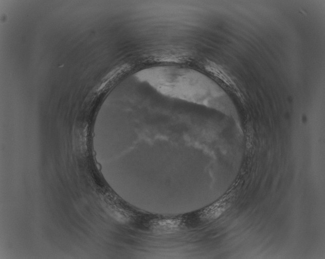 X0000062640163200601111135