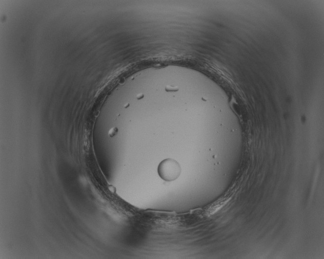 X0000062640164200601111135