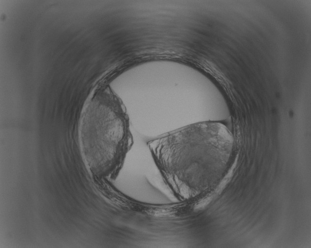 X0000062640165200601111135