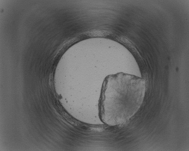 X0000062640167200601111135