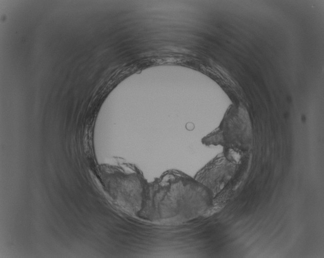 X0000062640169200601111135