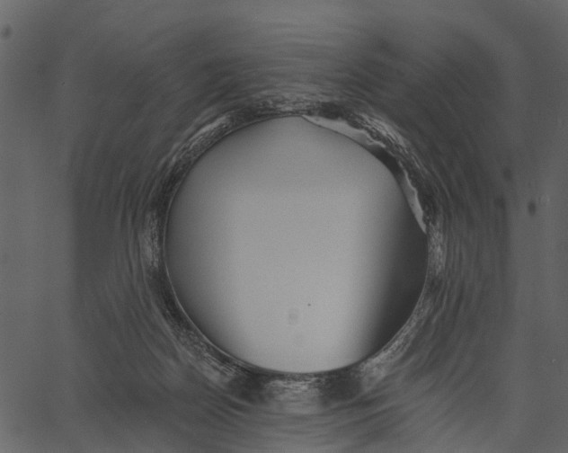 X0000062640170200601111135