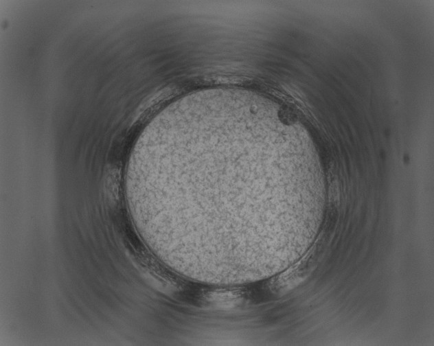 X0000062640171200601111135