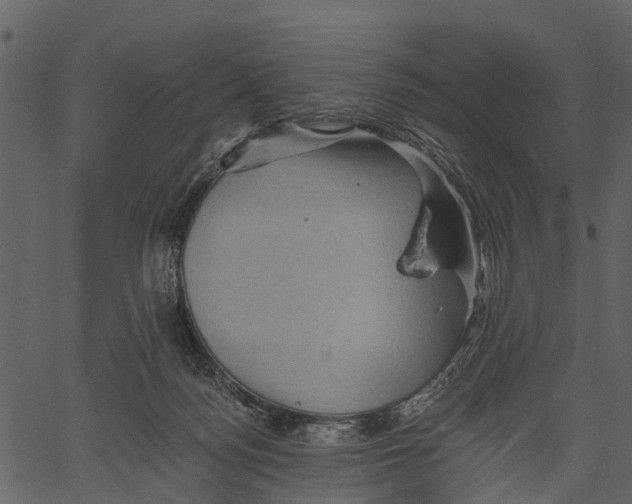 X0000062640172200601111135