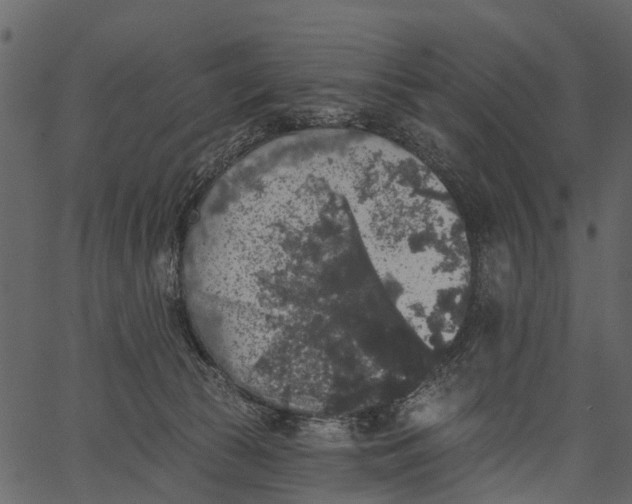 X0000062640177200601111135