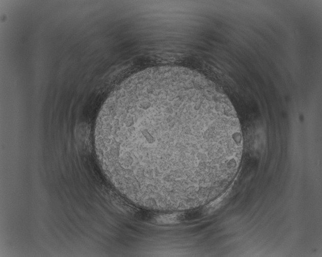 X0000062640178200601111135