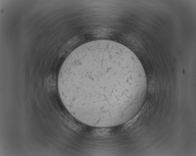 X0000062640179200601111135