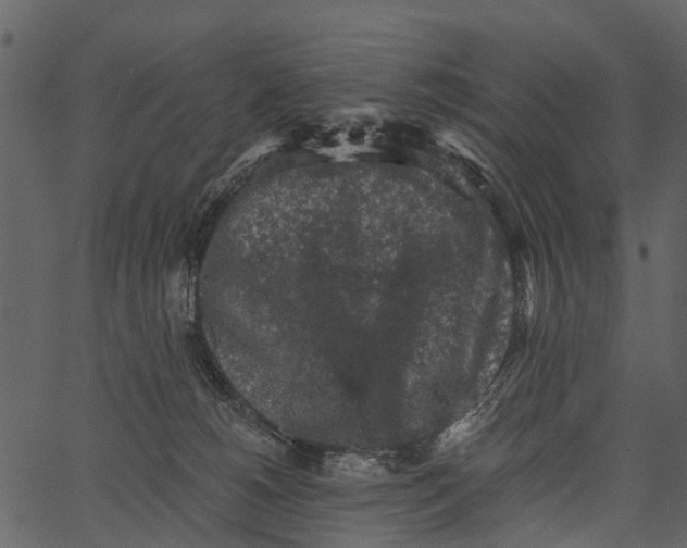 X0000062640180200601111135