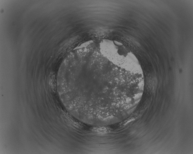 X0000062640181200601111135