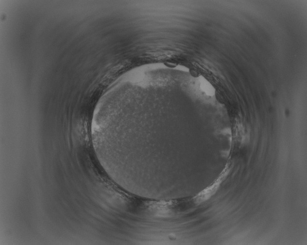 X0000062640182200601111135