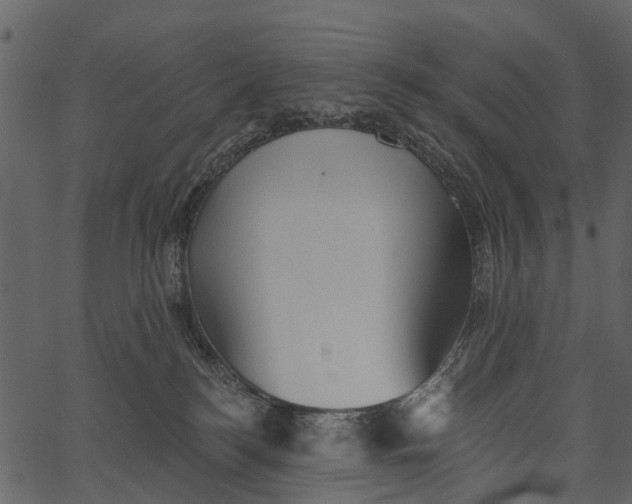 X0000062640184200601111135