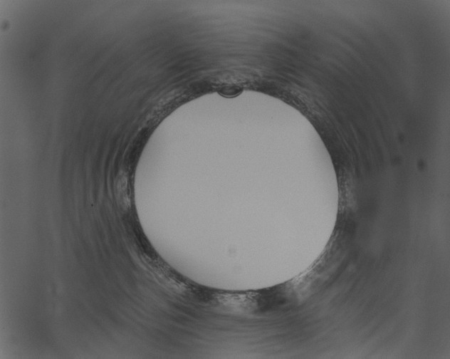 X0000062640187200601111135