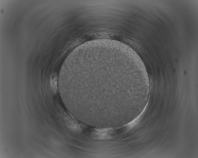 X0000062640190200601111135