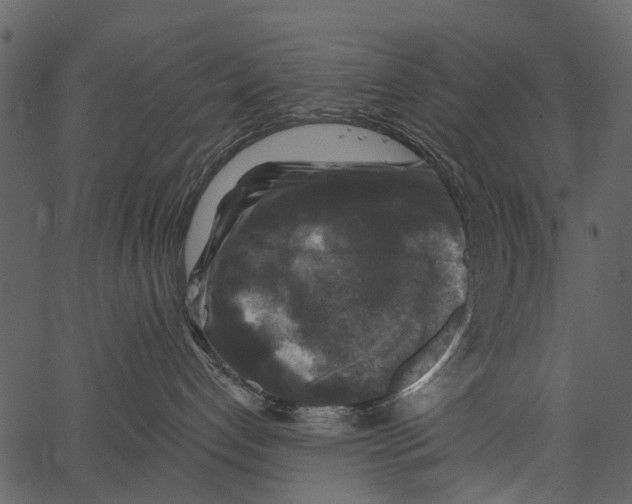 X0000062640192200601111135