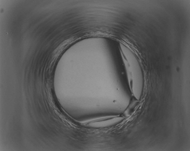 X0000062640193200601111134