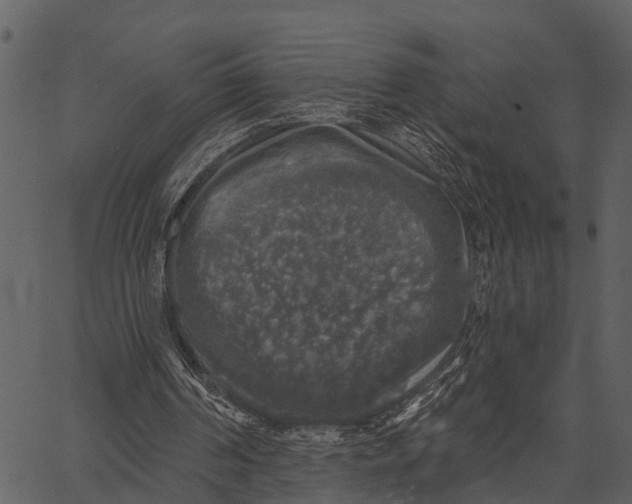 X0000062640194200601111134