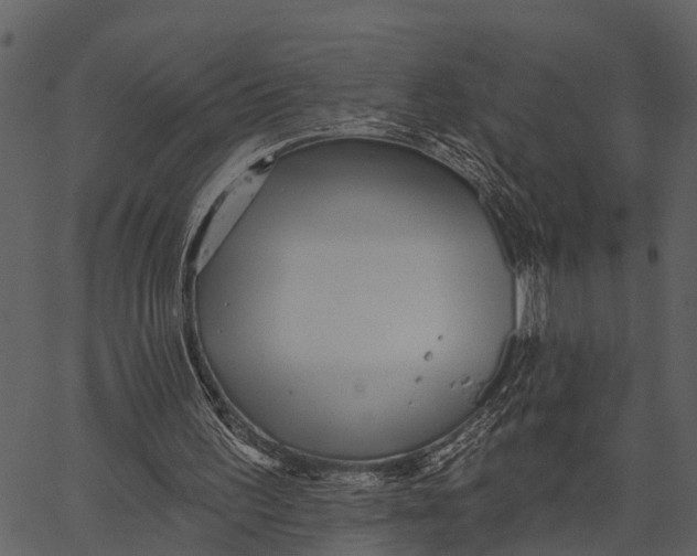 X0000062640195200601111134