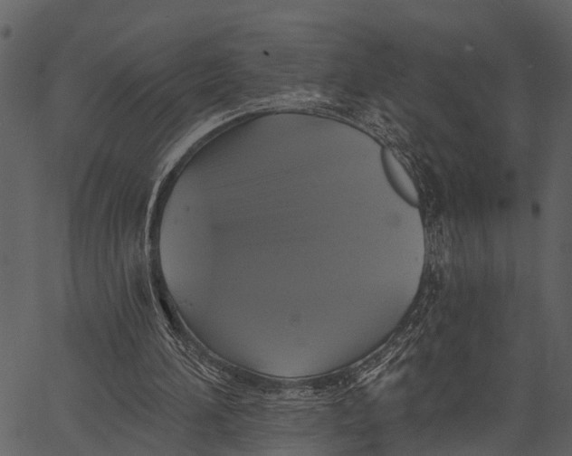 X0000062640196200601111134