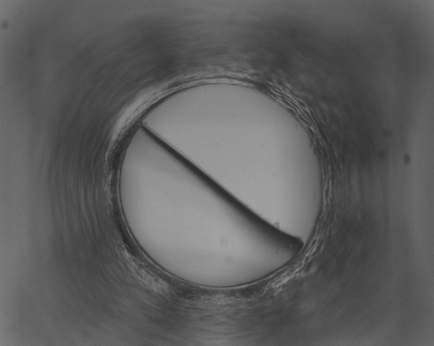 X0000062640197200601111134