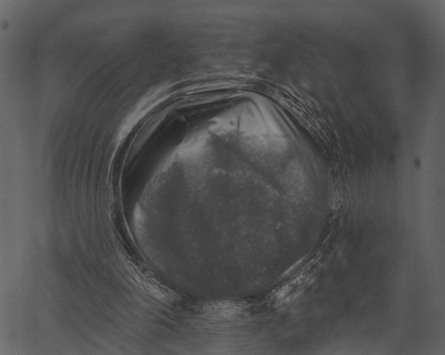 X0000062640198200601111134