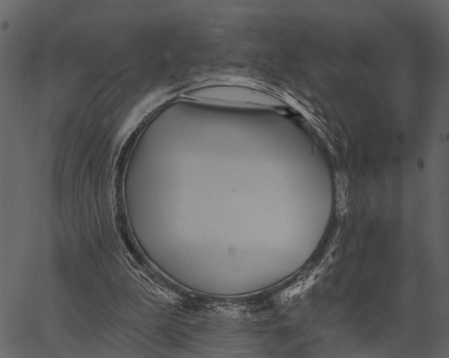 X0000062640199200601111134