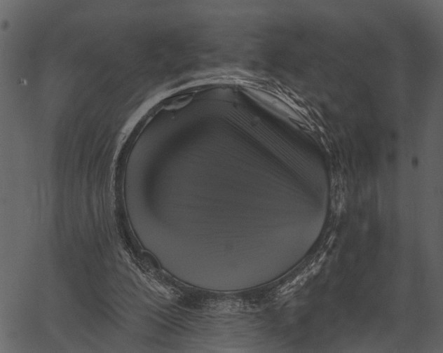 X0000062640200200601111134