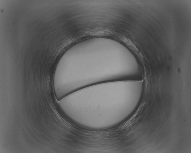 X0000062640201200601111134