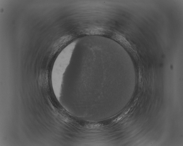 X0000062640202200601111134