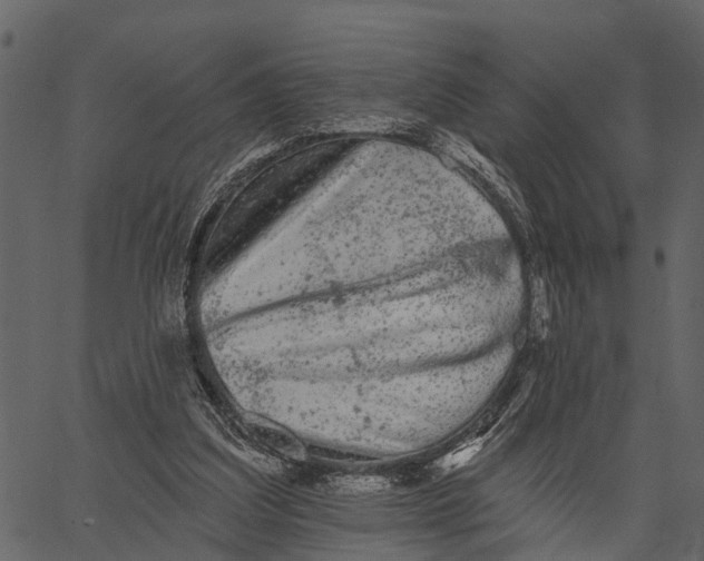 X0000062640203200601111134