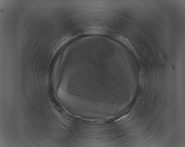 X0000062640204200601111134