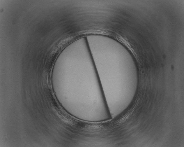 X0000062640205200601111134