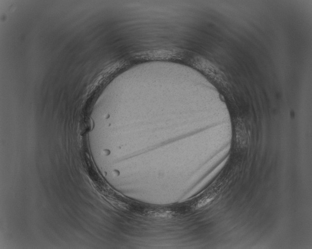 X0000062640206200601111134