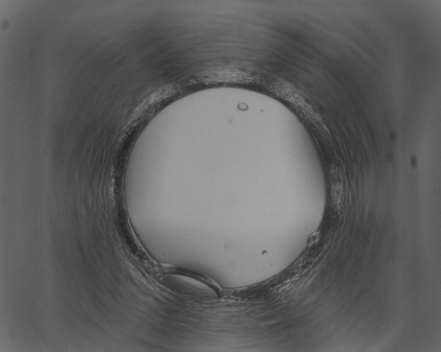 X0000062640207200601111134