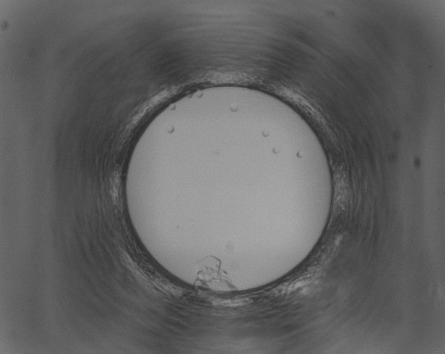 X0000062640208200601111134