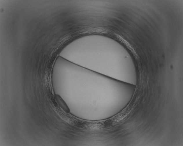 X0000062640209200601111134